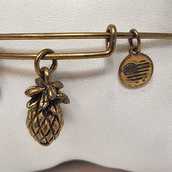 Alex and Ani Pineapple Dangle Charm Bangle Bracelet Antiqued Gold Tone Slider - Picture 2 of 4